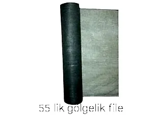 55 lik gölgelik file