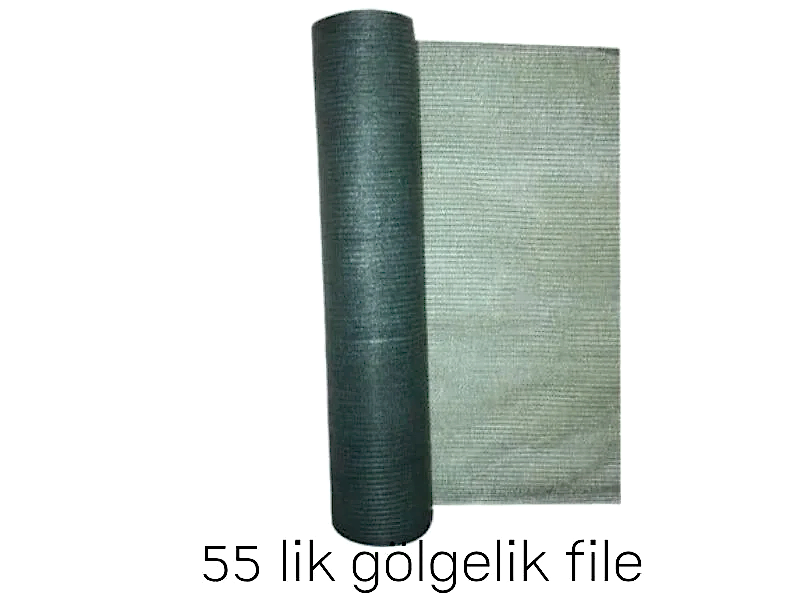 55 lik gölgelik file