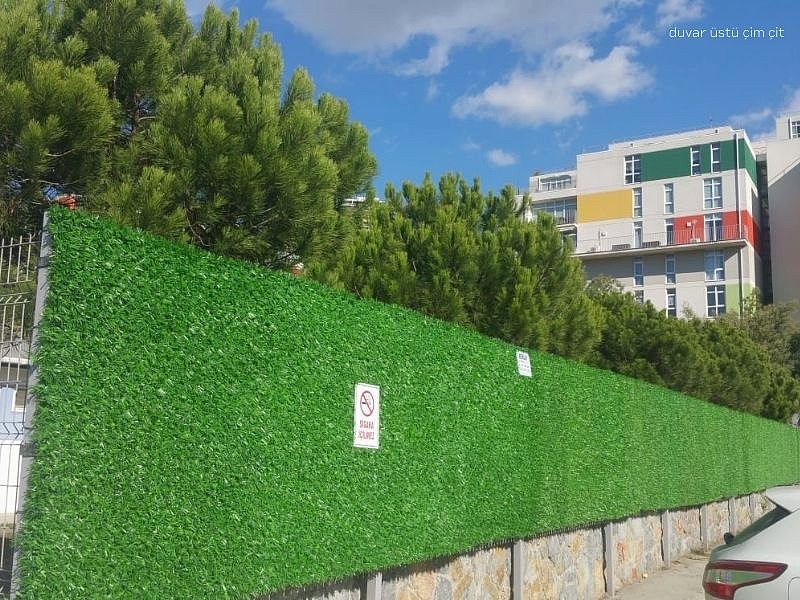 duvar ustu cim cit