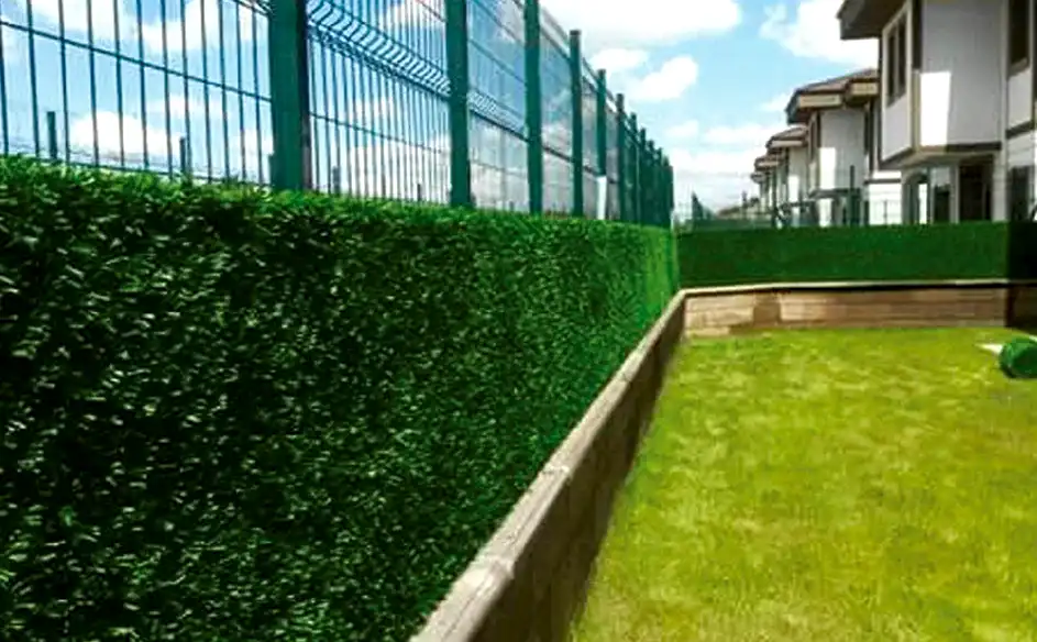 çim çit çeşitleri